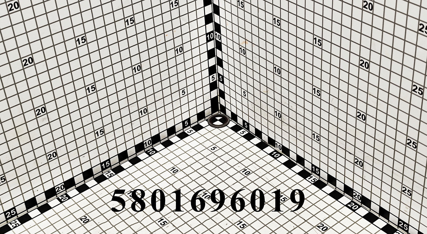 Кольцо 5801696019 (98474309) CNHi