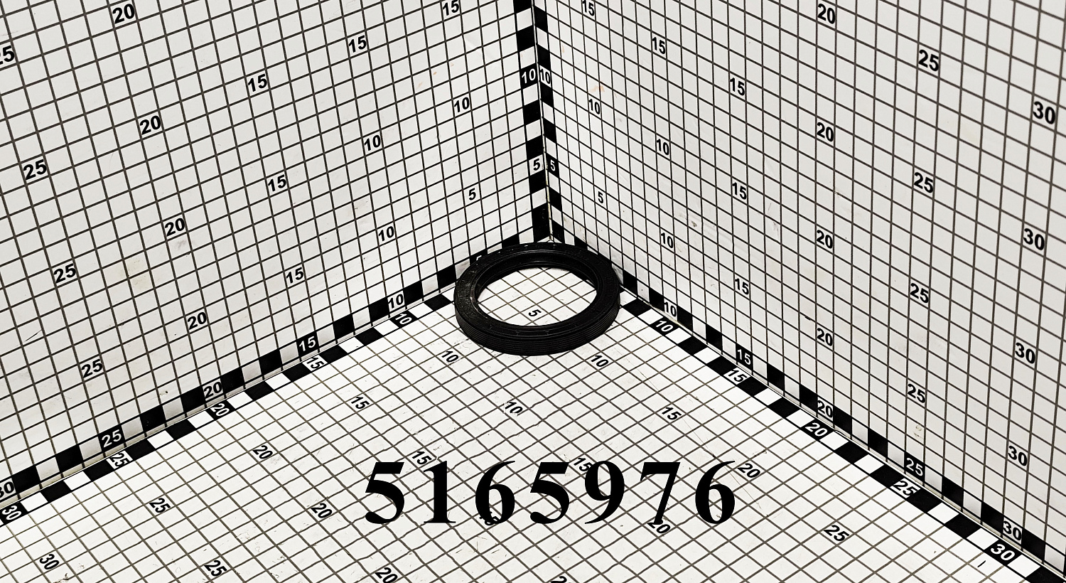 Сальник 5165976 CNHi