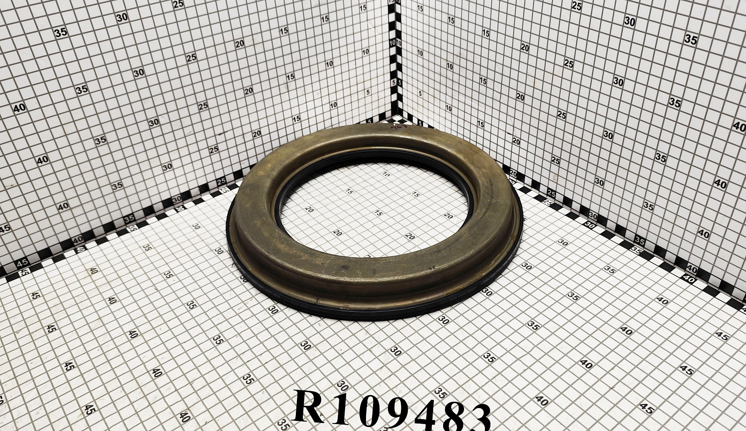 Поршень R109483