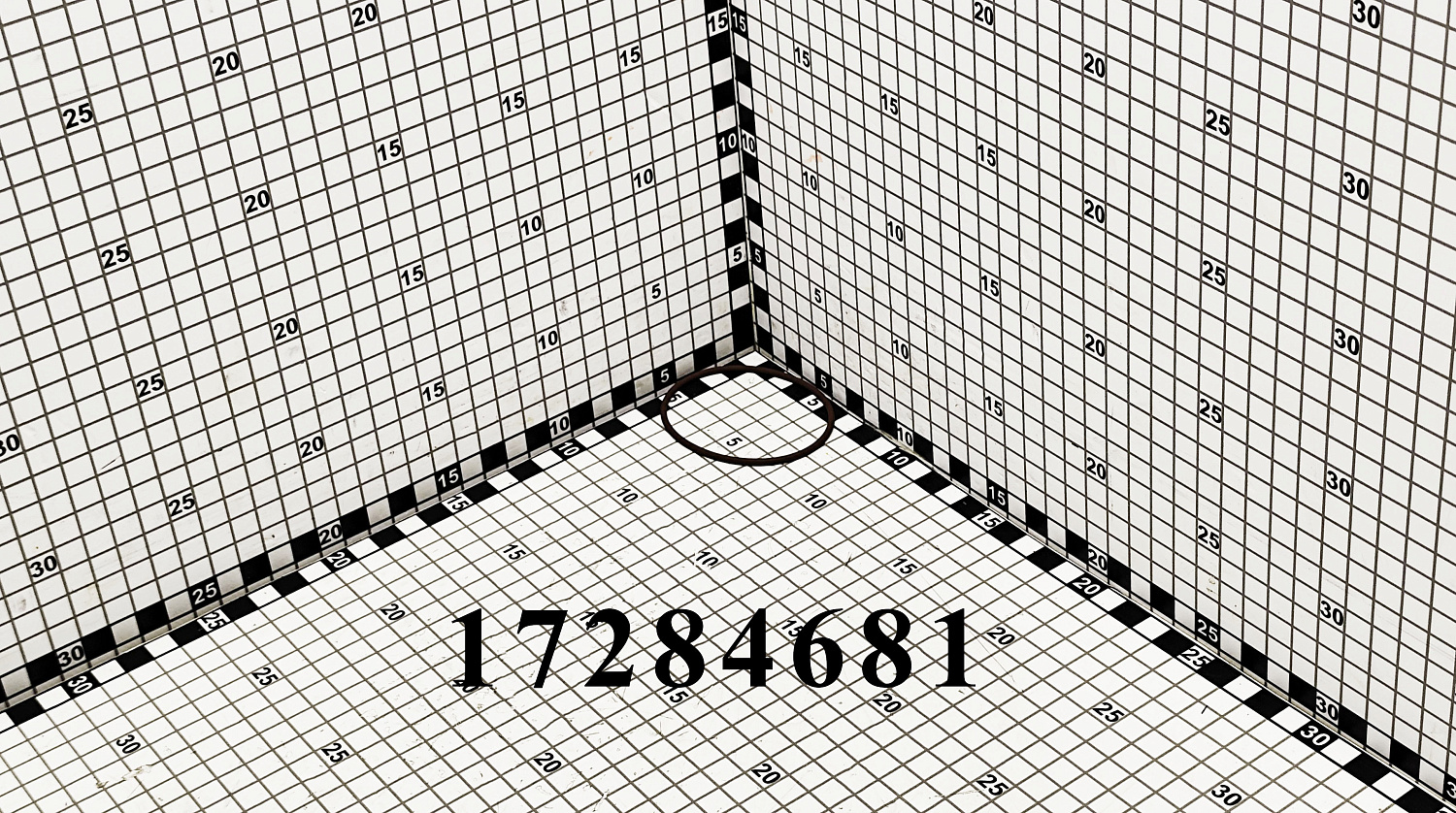 Кольцо 17284681 (14460181) CNHi