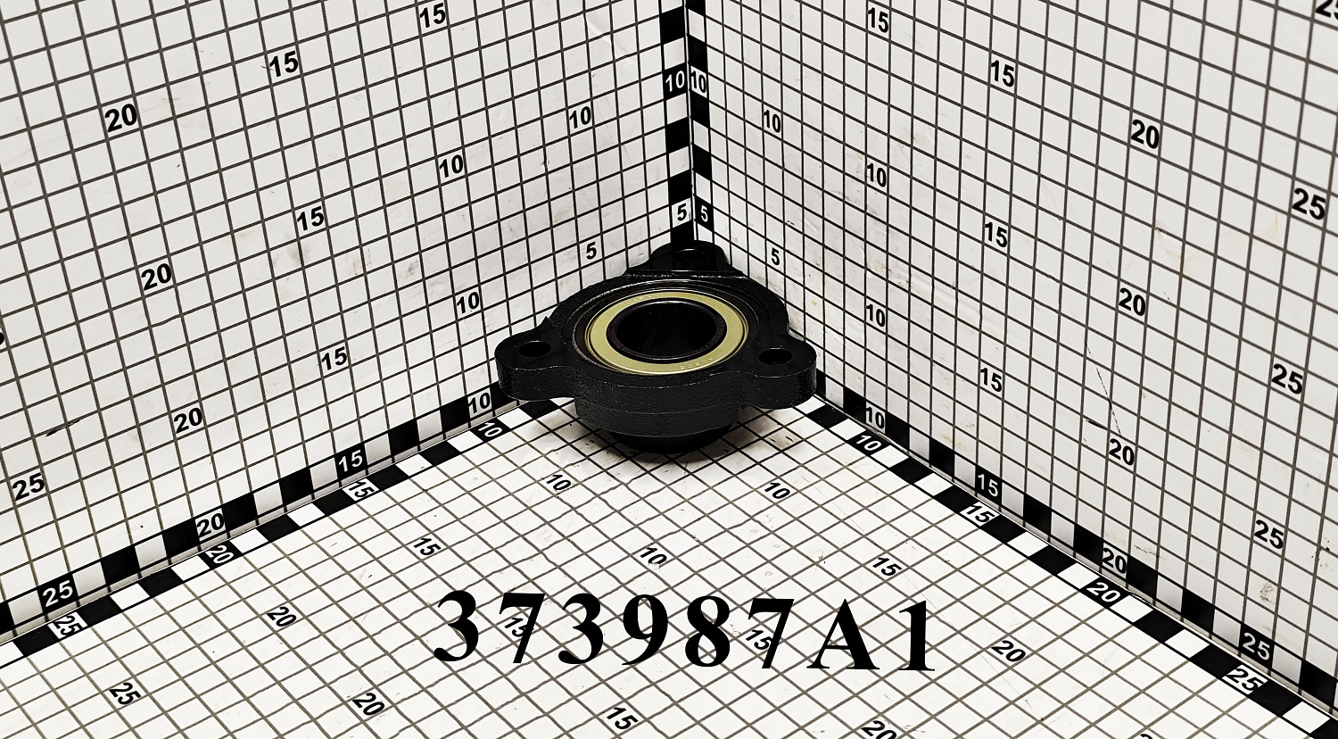 Подшипник в сборе 373987A1 CNHi
