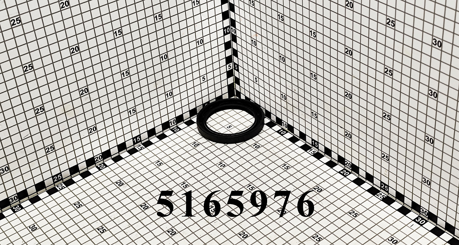 Сальник 5165976 CNHi