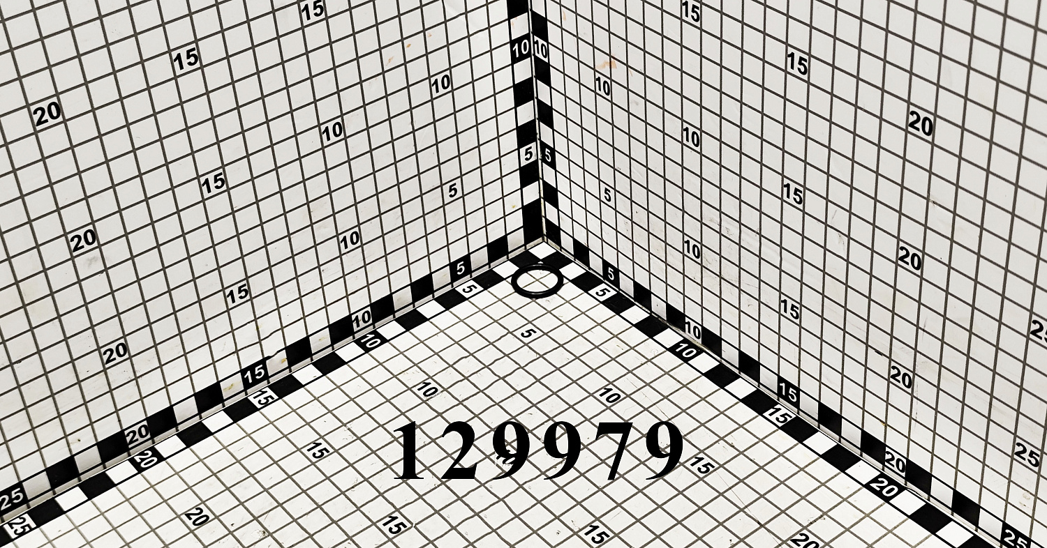 Кольцо уплотнительное 129979 CNHi